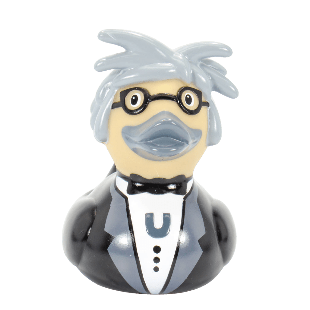 Pop Icon Duck. 1128
