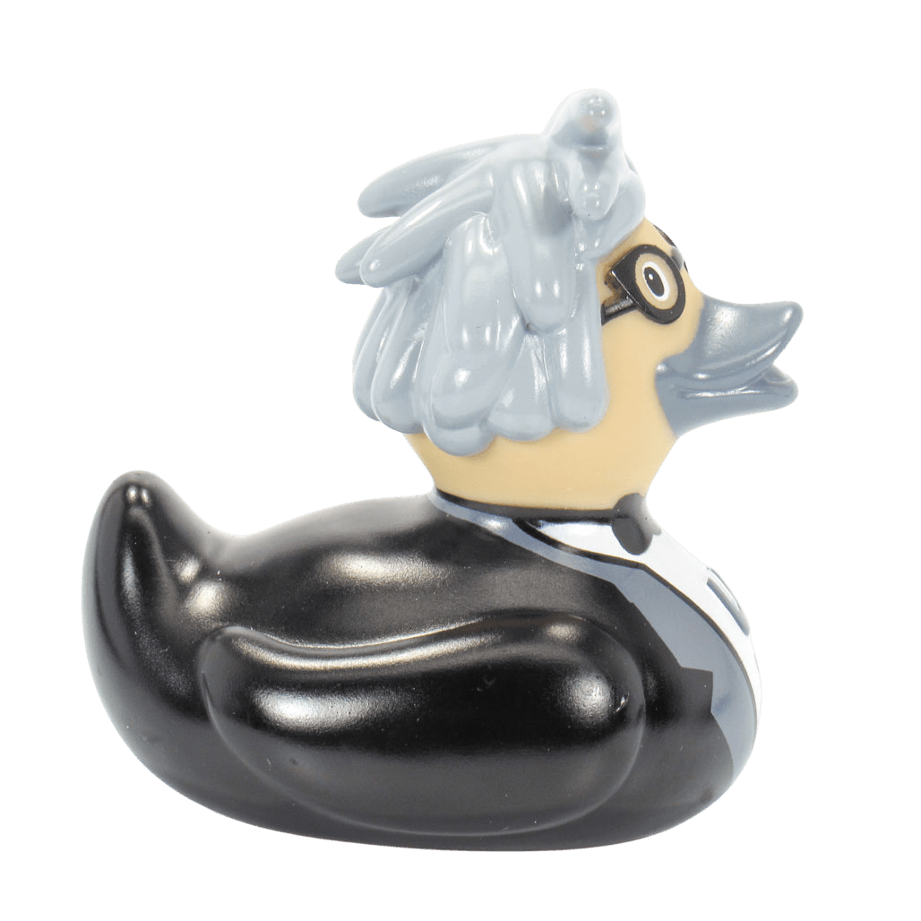 Pop Icon Duck. 1128