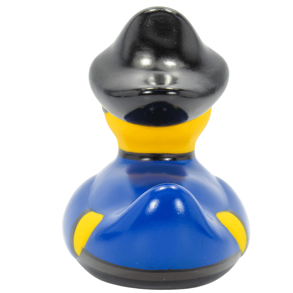 Pirate Duck. 1419