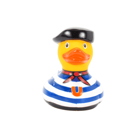 Mini Artiste Duck