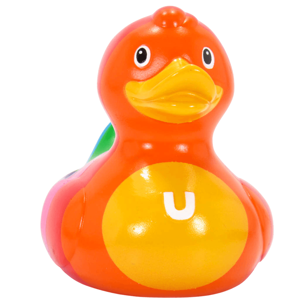 Rainbow Duck. 1499