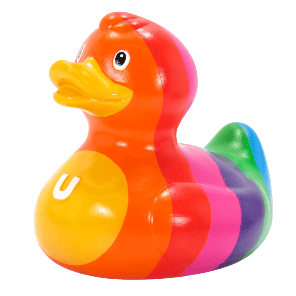 Rainbow Duck. 1499