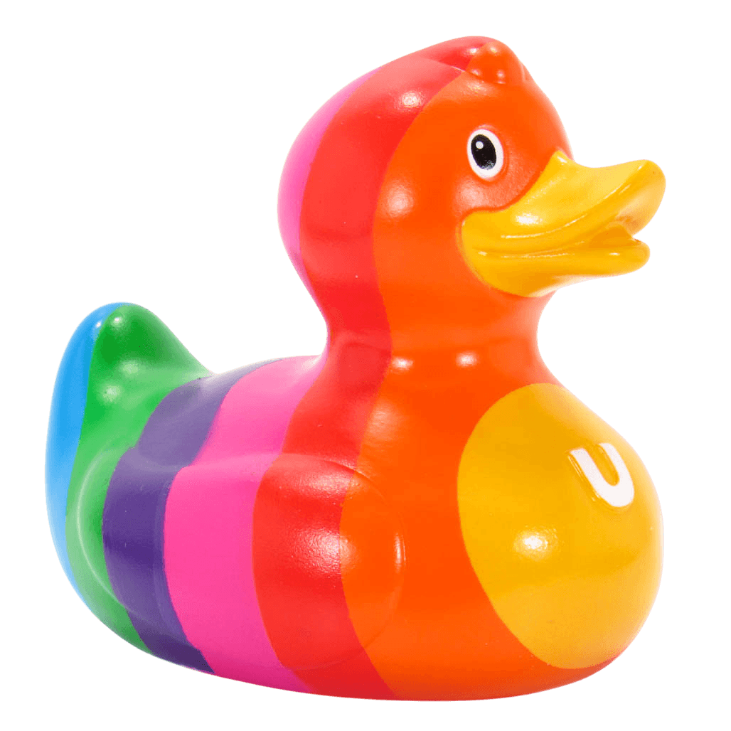 Rainbow Duck. 1499