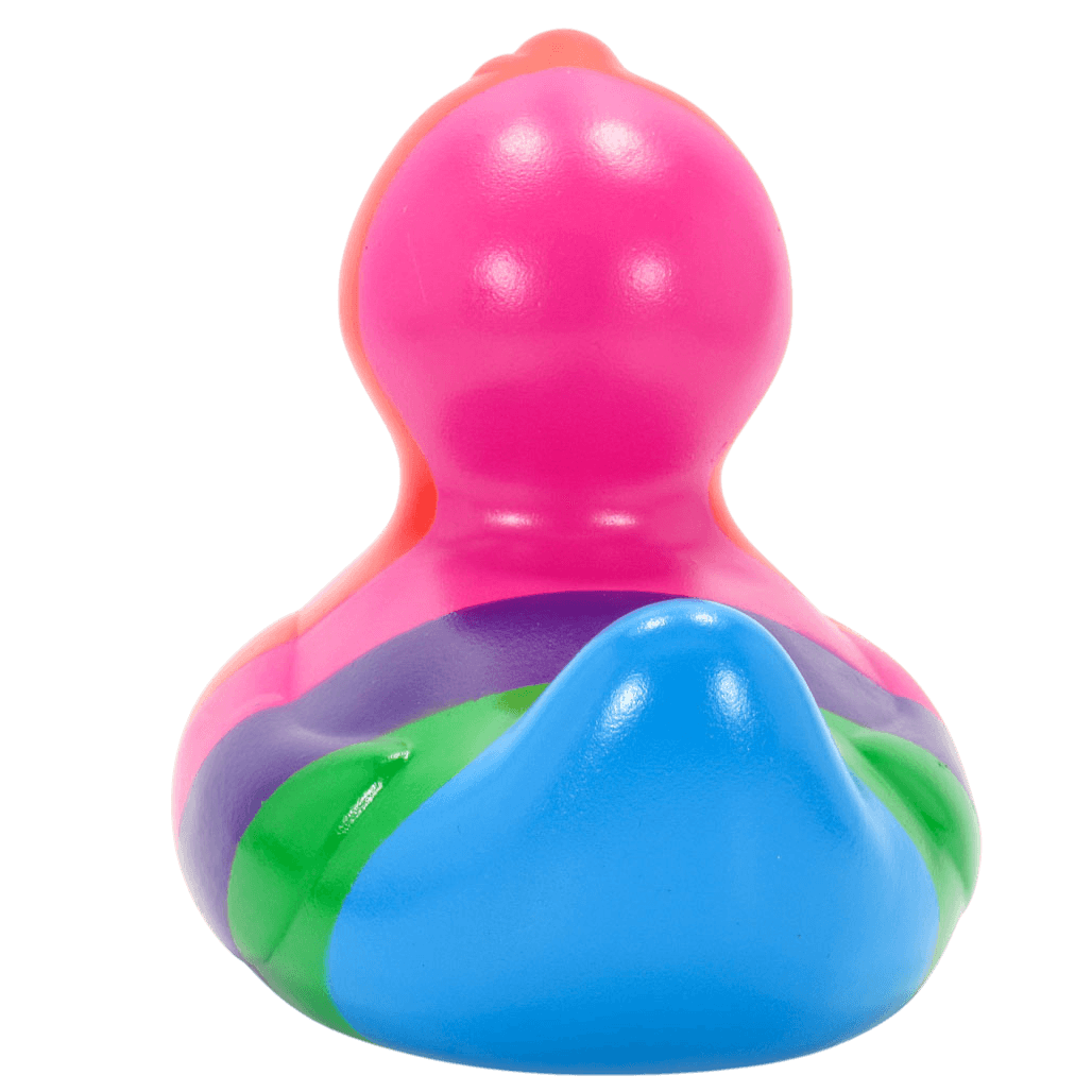 Rainbow Duck. 1499
