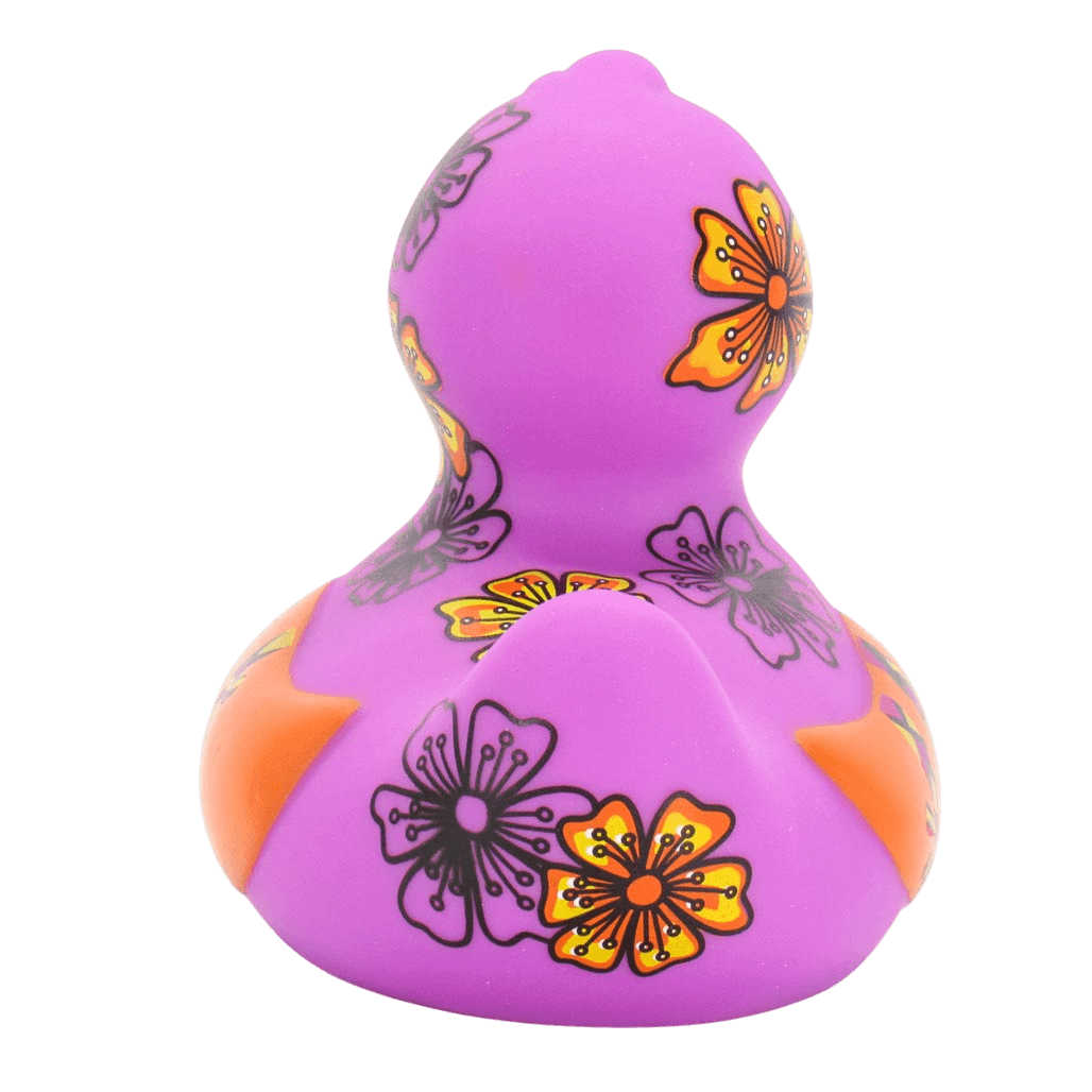 Friendship Duck. 1508