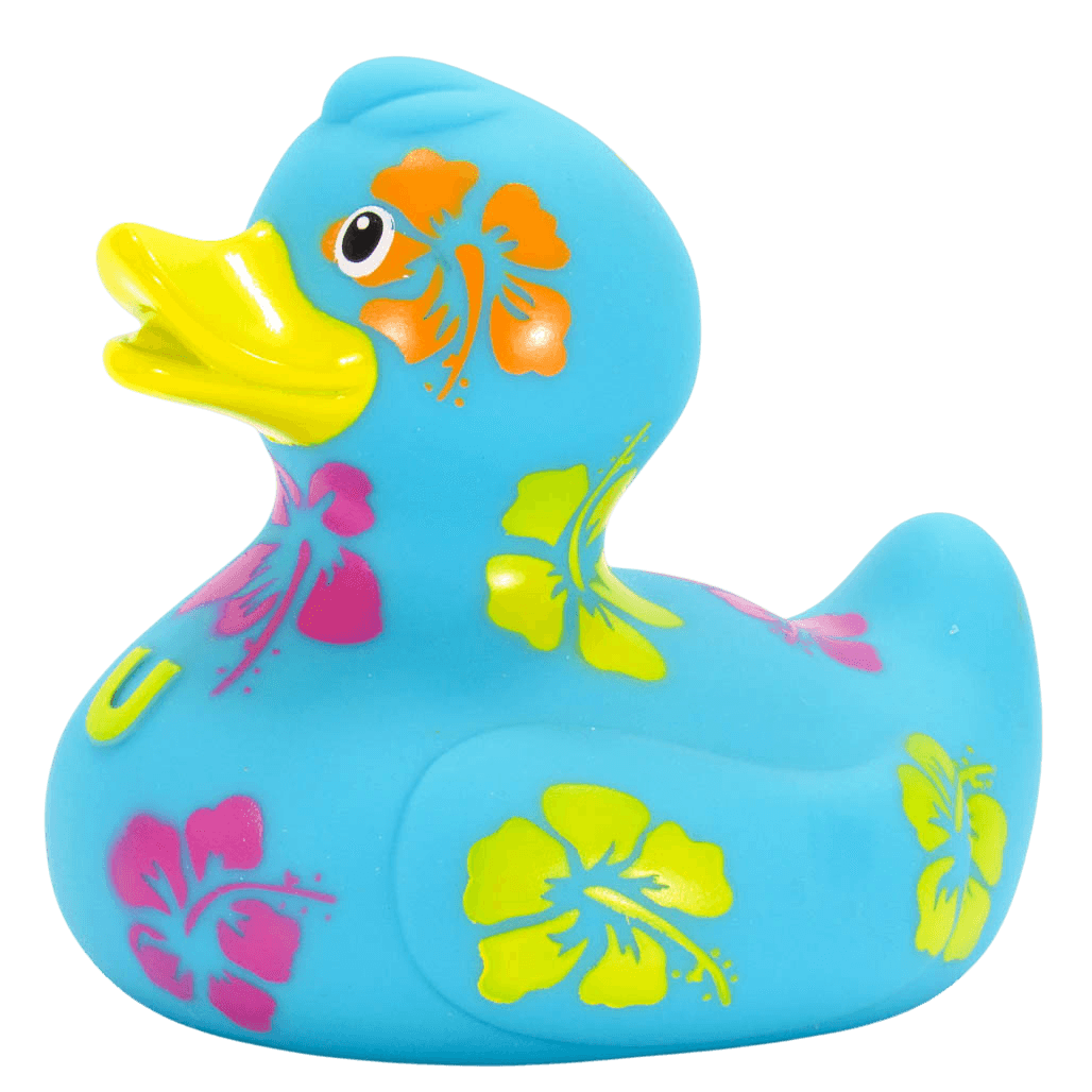Hawaiian Duck. 1510