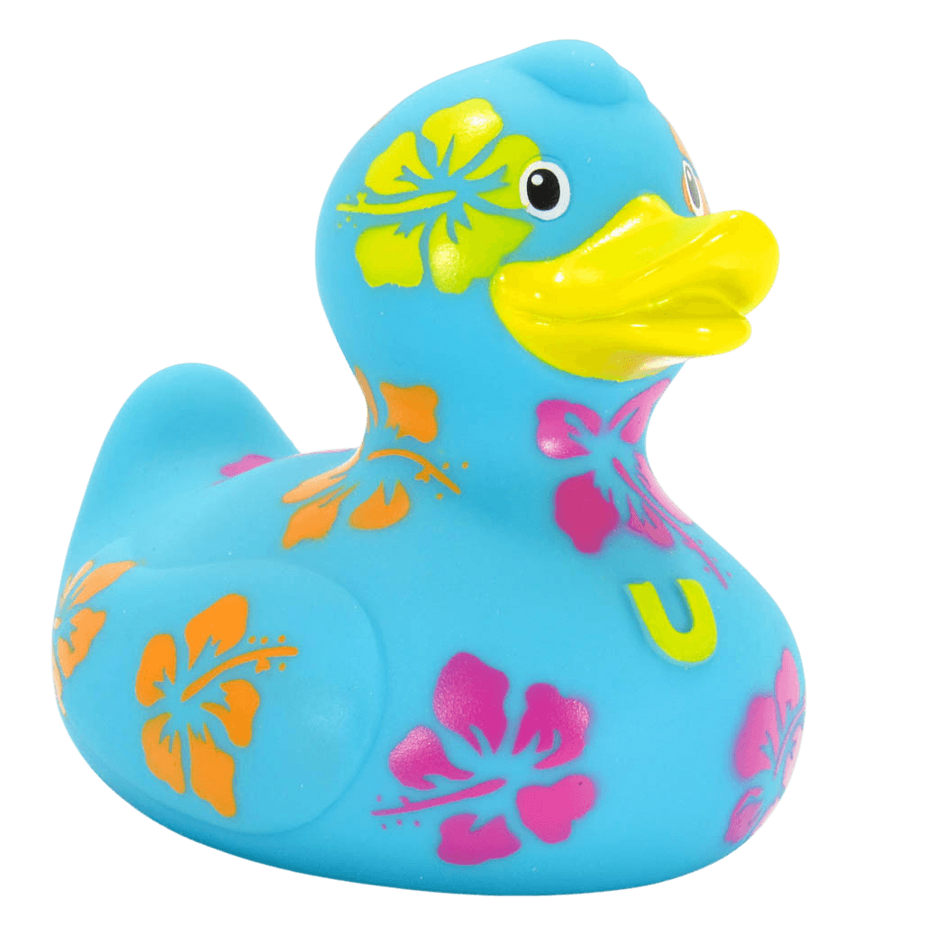 Hawaiian Duck. 1510