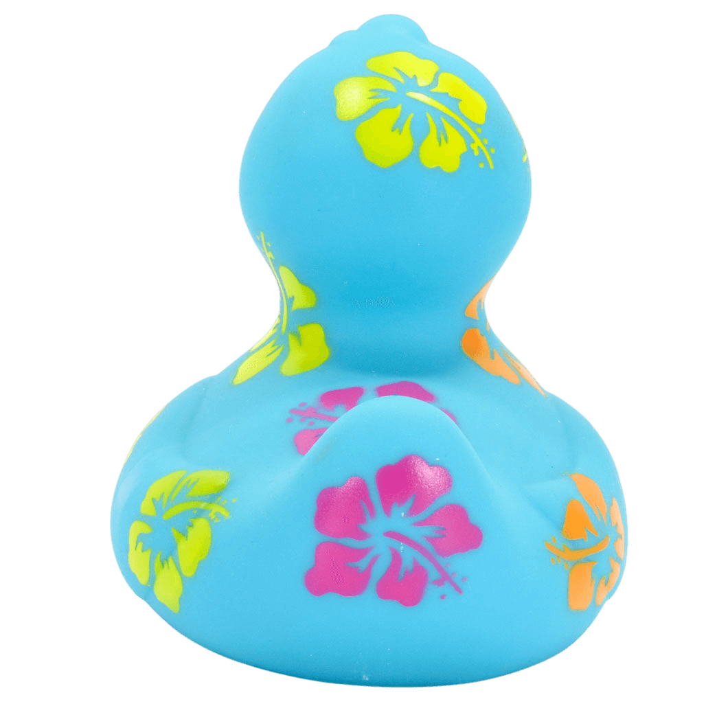 Hawaiian Duck. 1510
