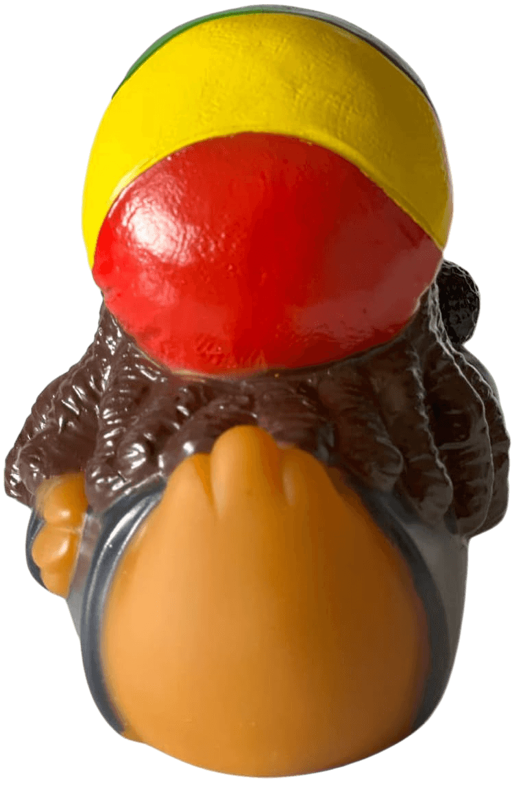 One Pond Duck