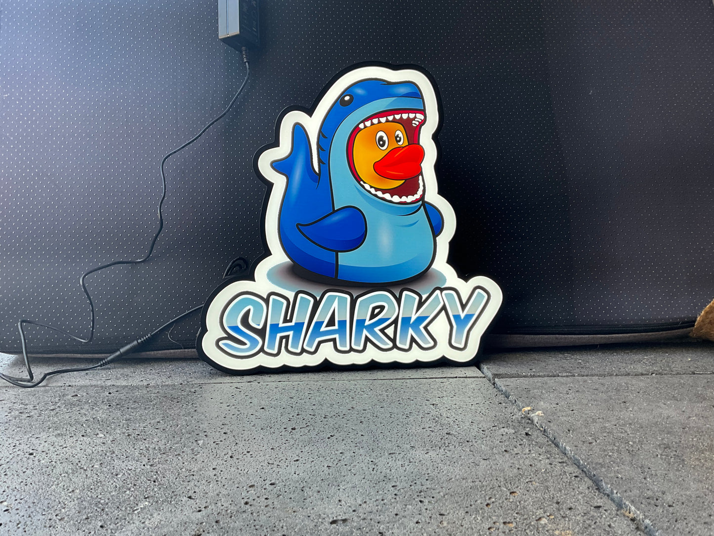 Lightbox Sharky dwl 5005