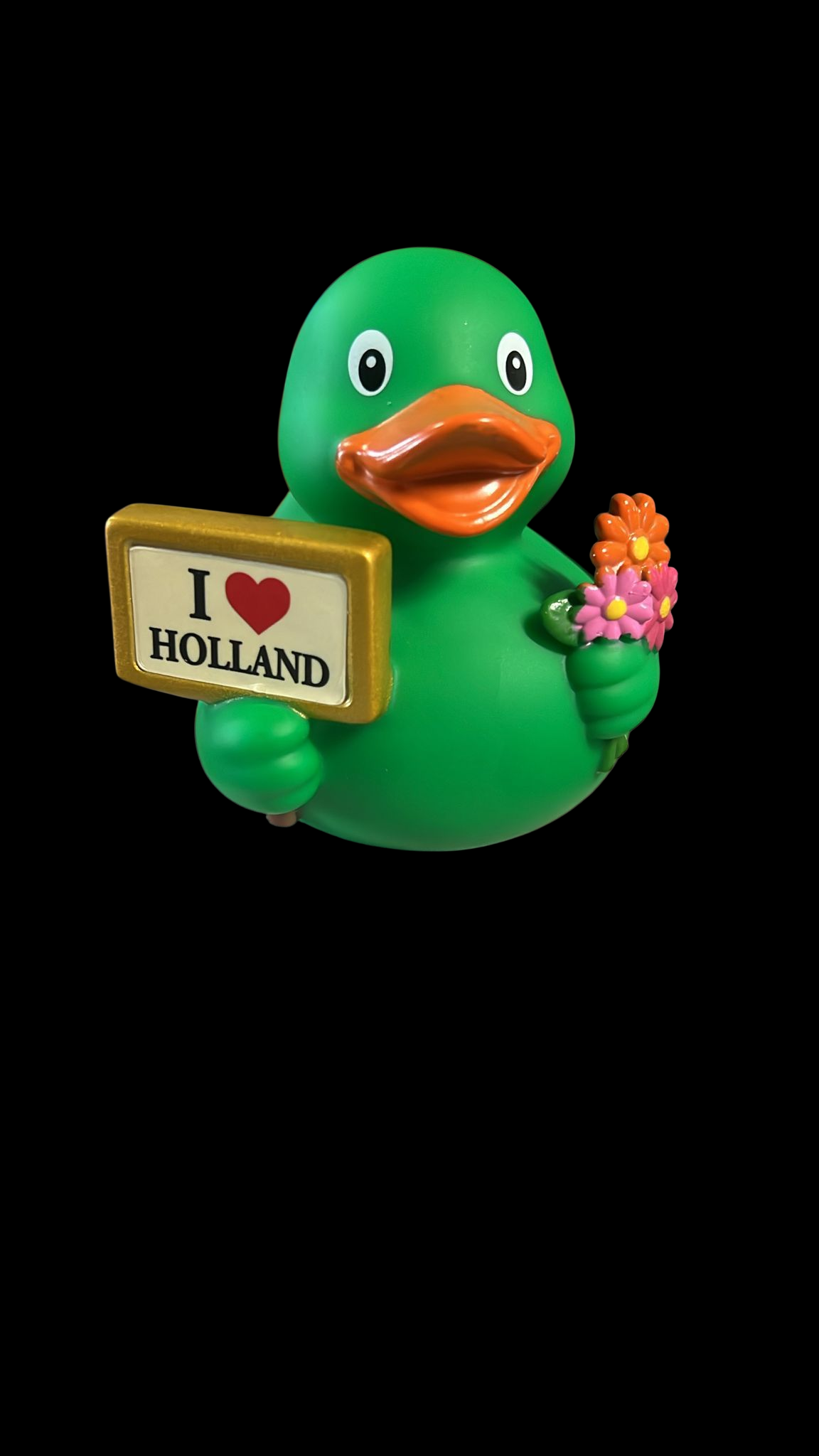 Signducks a the greatest selling product .  make your  local signs.