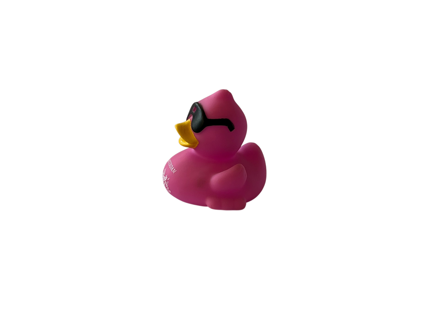 Race Duck Amsterdam purple dwl 2014