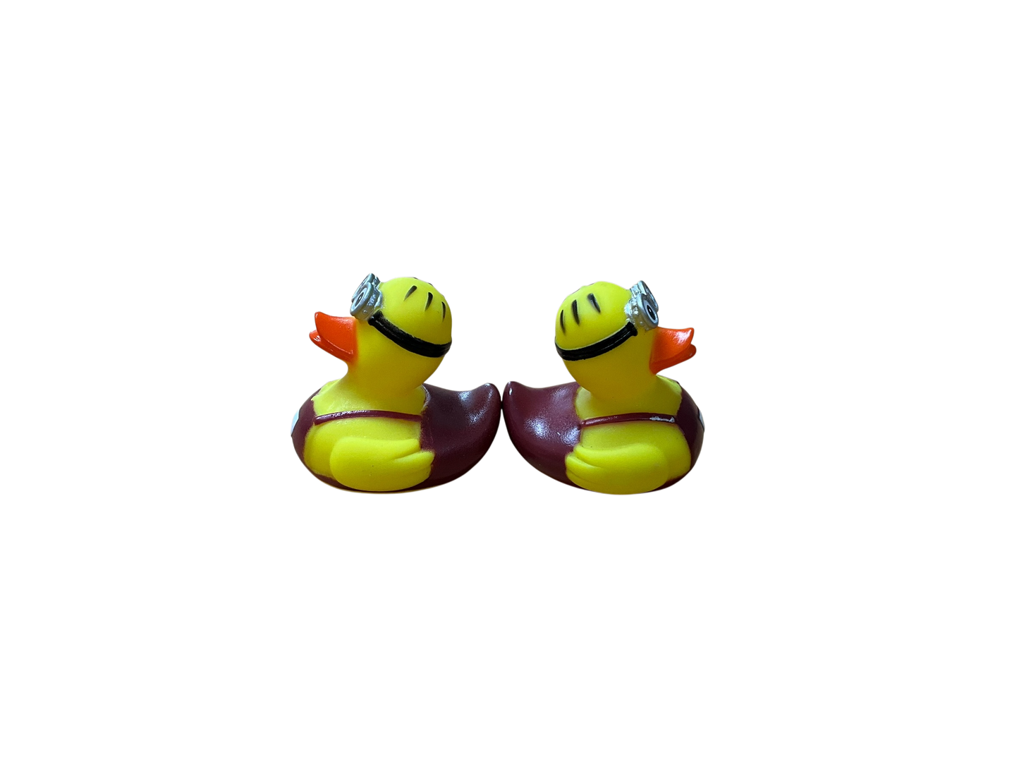 Double cockle sm 3544