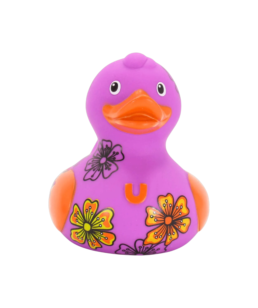Friendship Duck. 1508