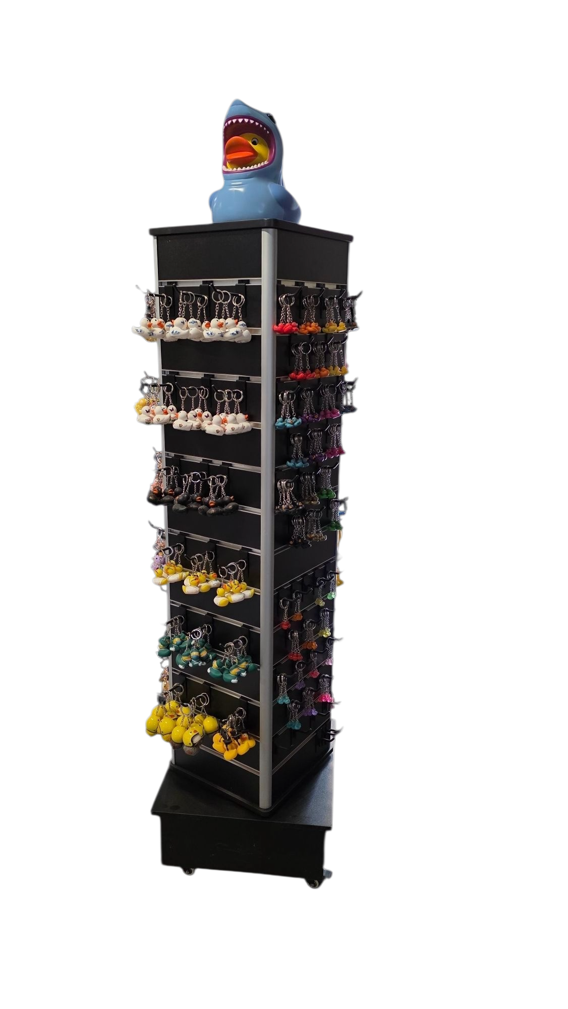 Keychain display dwl 5010