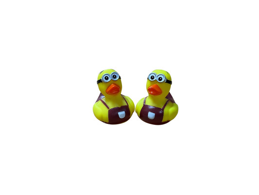 Double cockle sm 3544