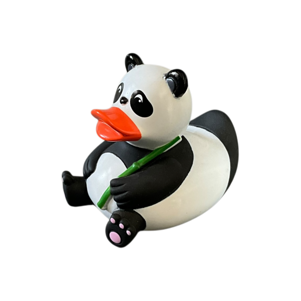 Panda dwl 2004