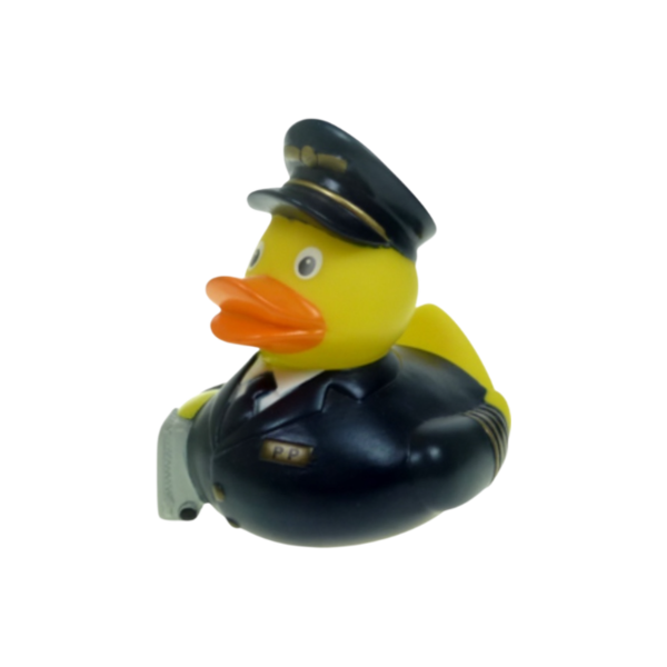 Pietro pilot 761