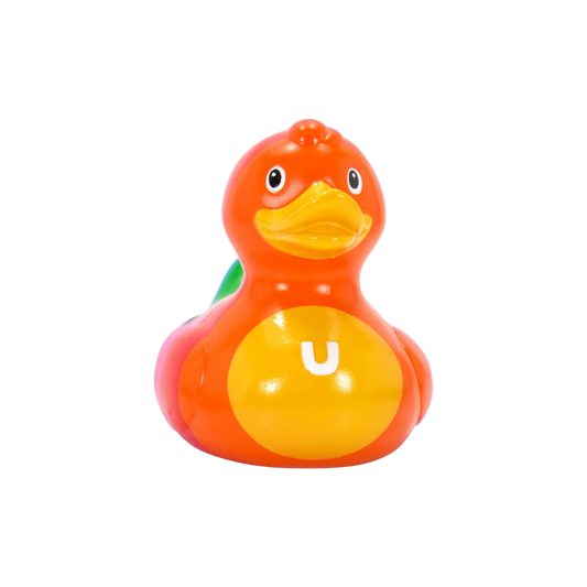 Rainbow Mini Duck. 1513