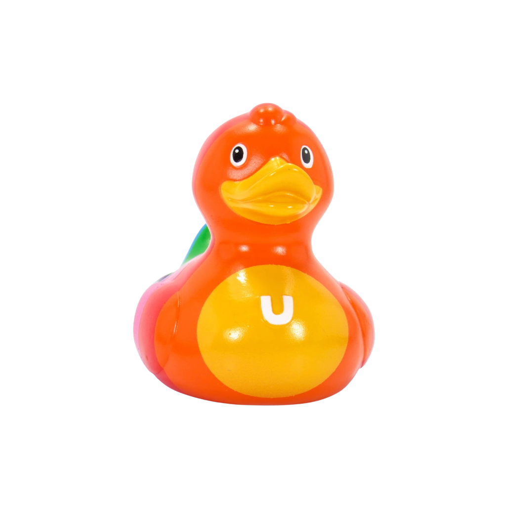 Rainbow Duck. 1499