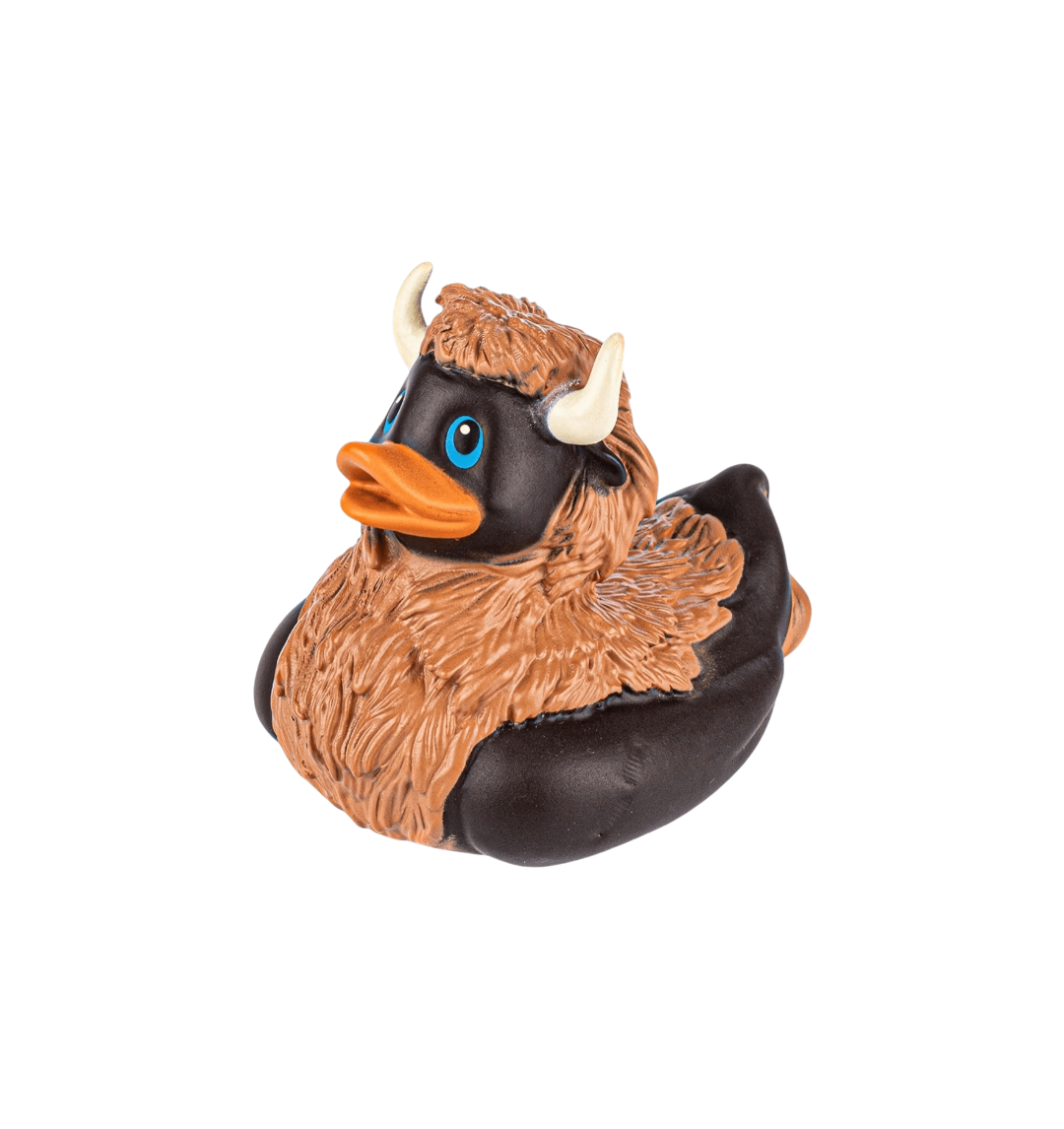 Bison Duck. 23219