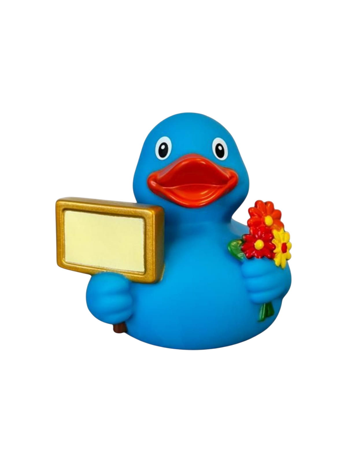 Signduck Blue