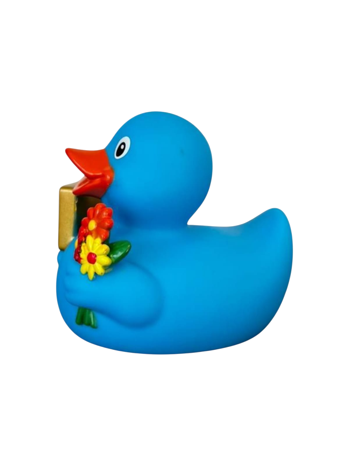 Signduck Blue