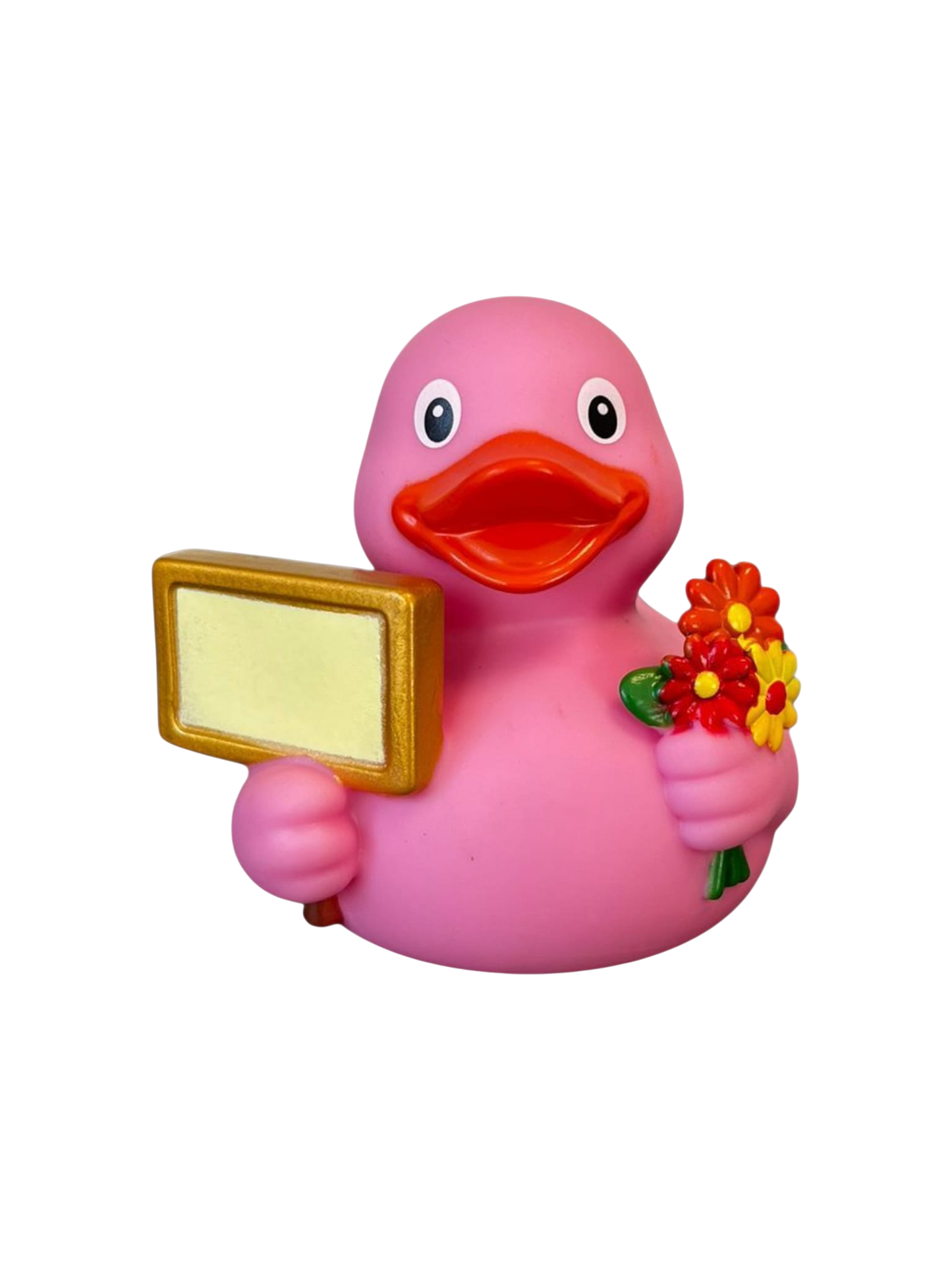 Signduck Pink