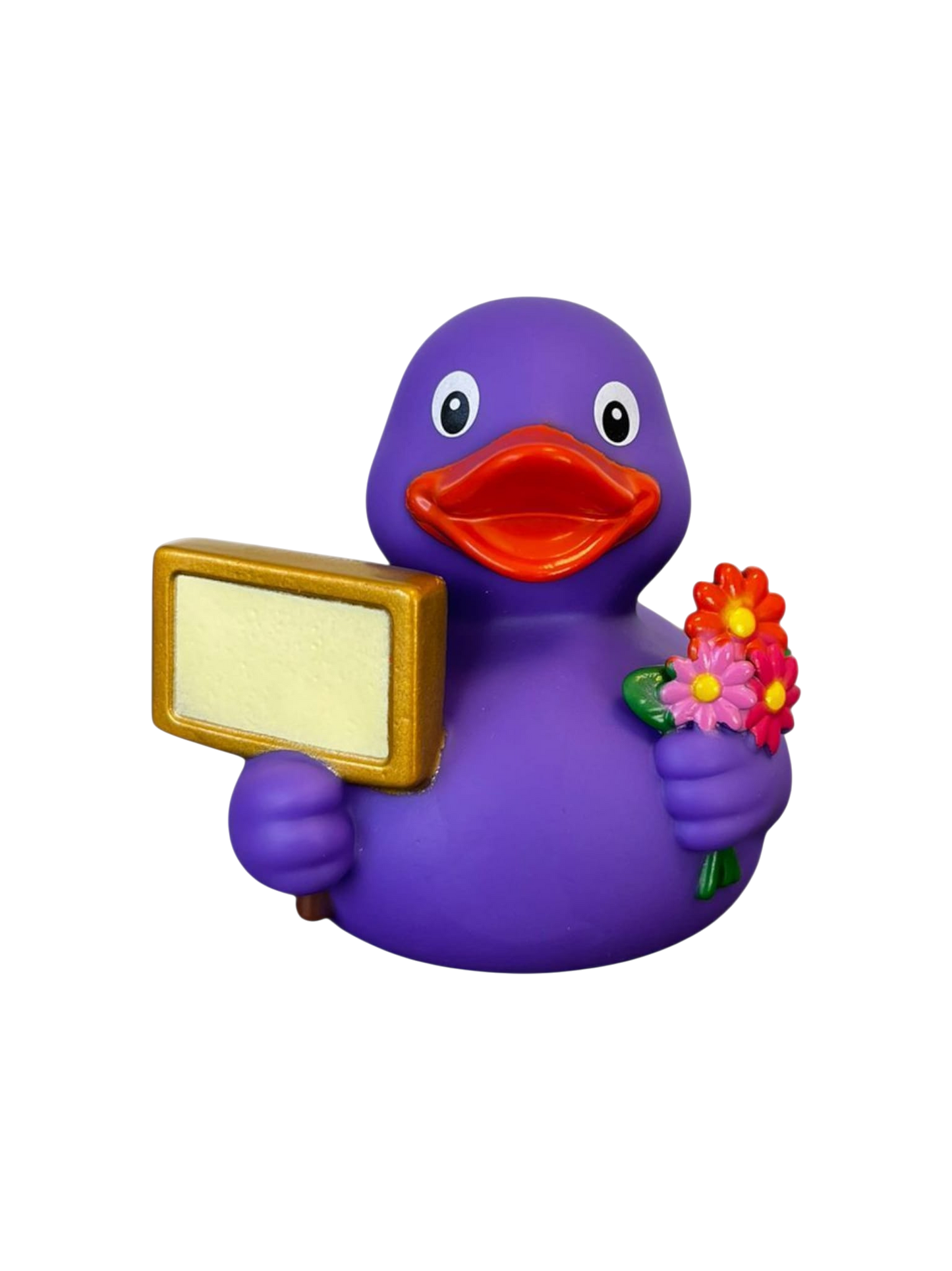 Signduck Purple