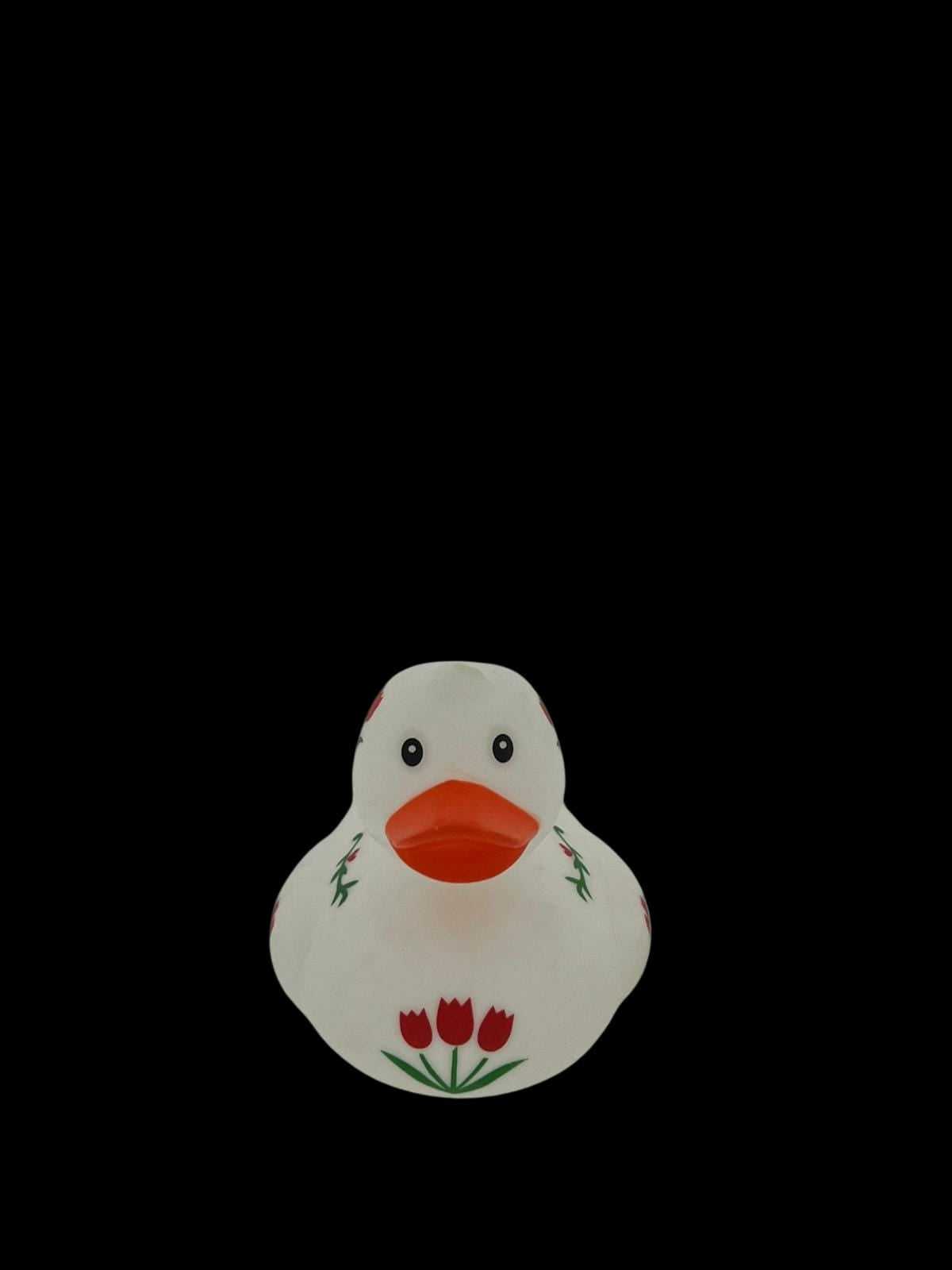 Tulip White art 24