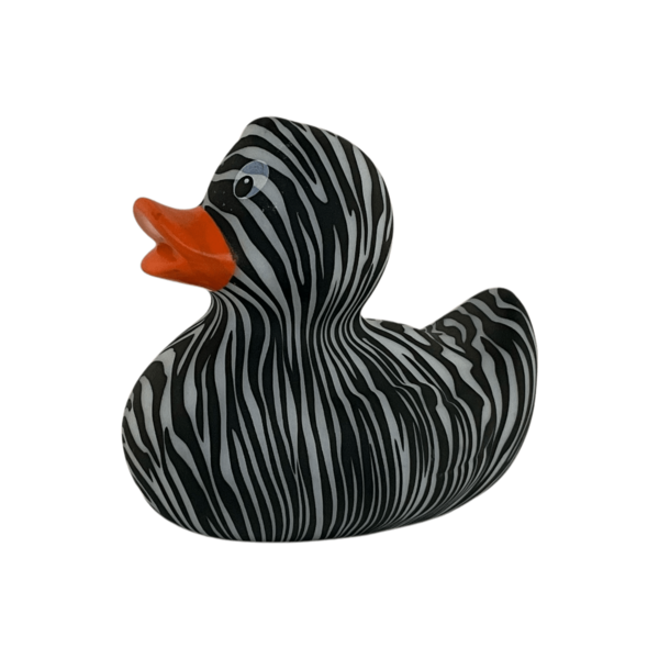 Art Zebra art 21