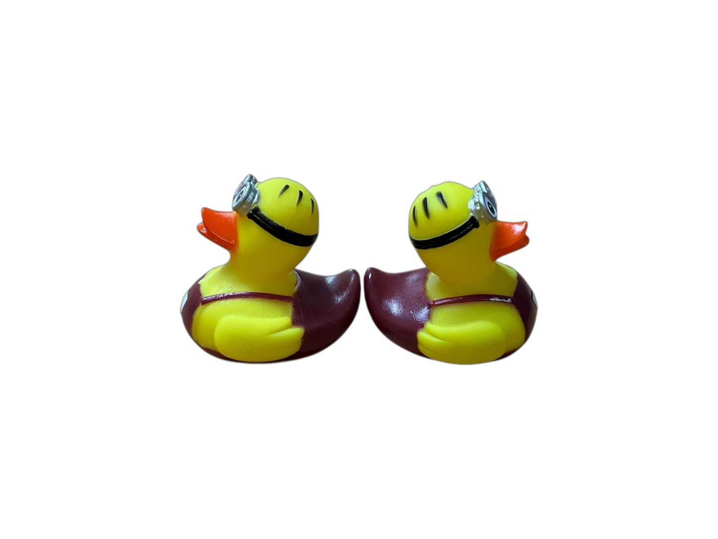 Double cockle sm 3544