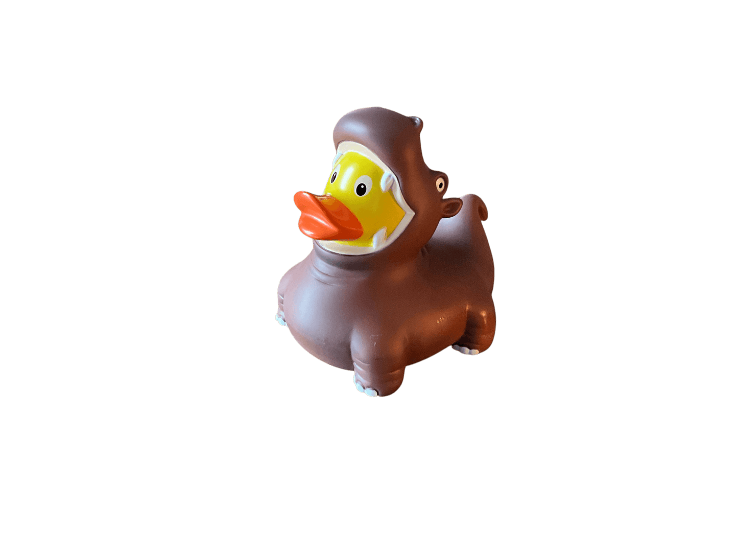 Hippo Duck wl 1213