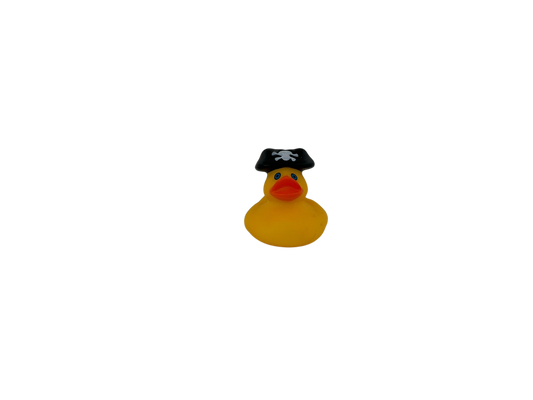 Mini Pirate sm3503