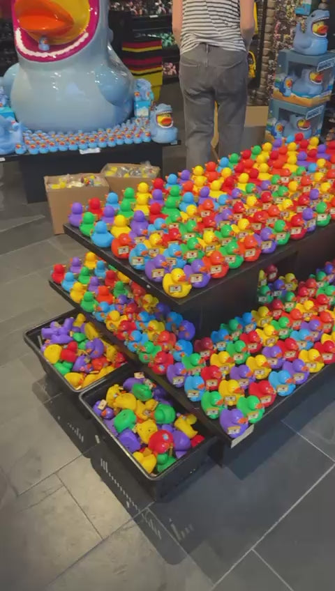 Displaying signducks — play this footage