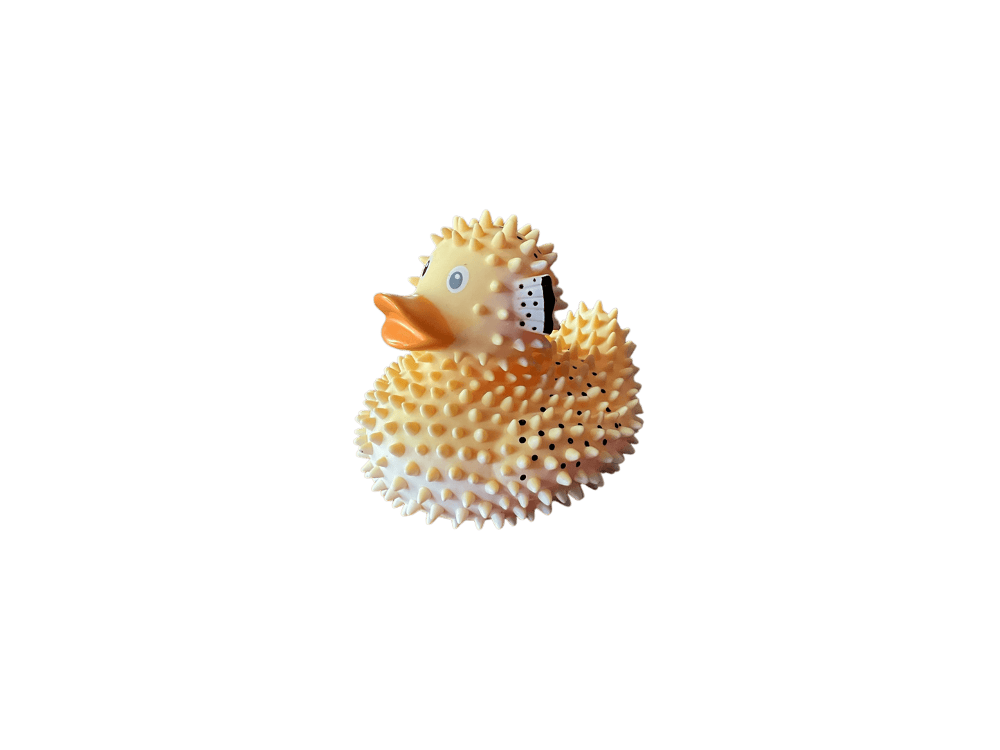 Puffer Duck wl 1208