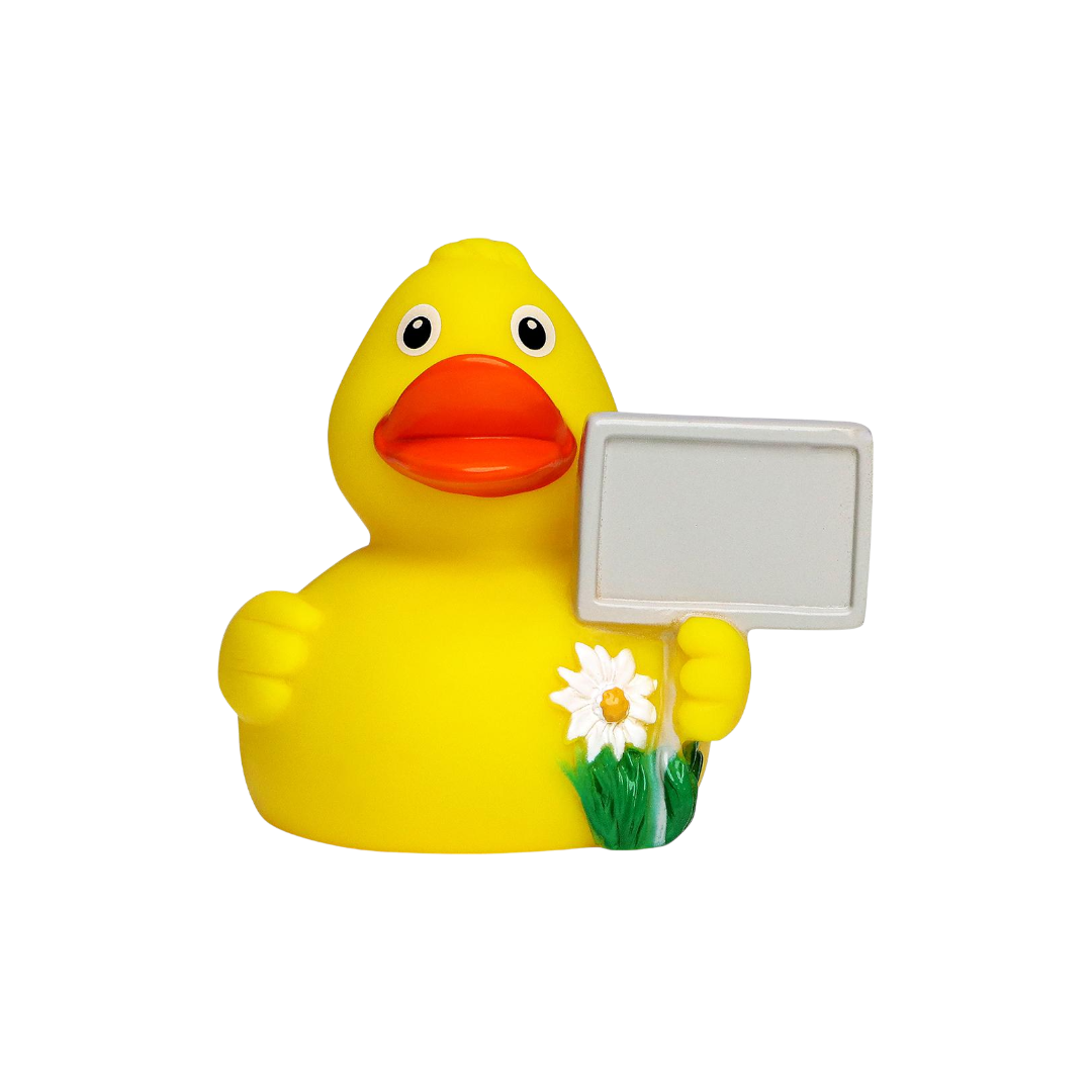 Sign Duck M131126